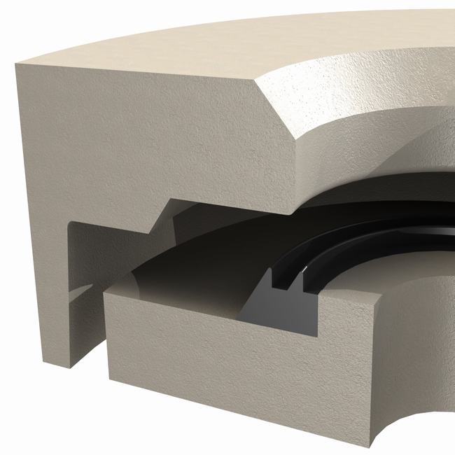 Jawanat al Anabib Alkharsaniat Lil Akhtam